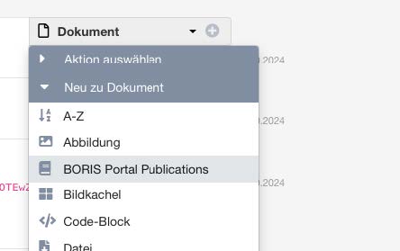 Auswahl "BORIS Portal Publications" im ZMS